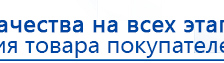 Дэнас ПКМ Новинка 2016 купить в Усть-илимске, Аппараты Дэнас купить в Усть-илимске, Скэнар официальный сайт - denasvertebra.ru